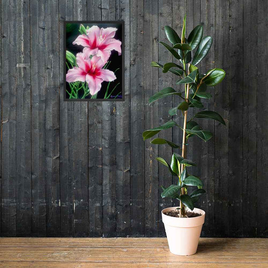 Framed Print - Desire - Pink Lily Floral Realism on Black