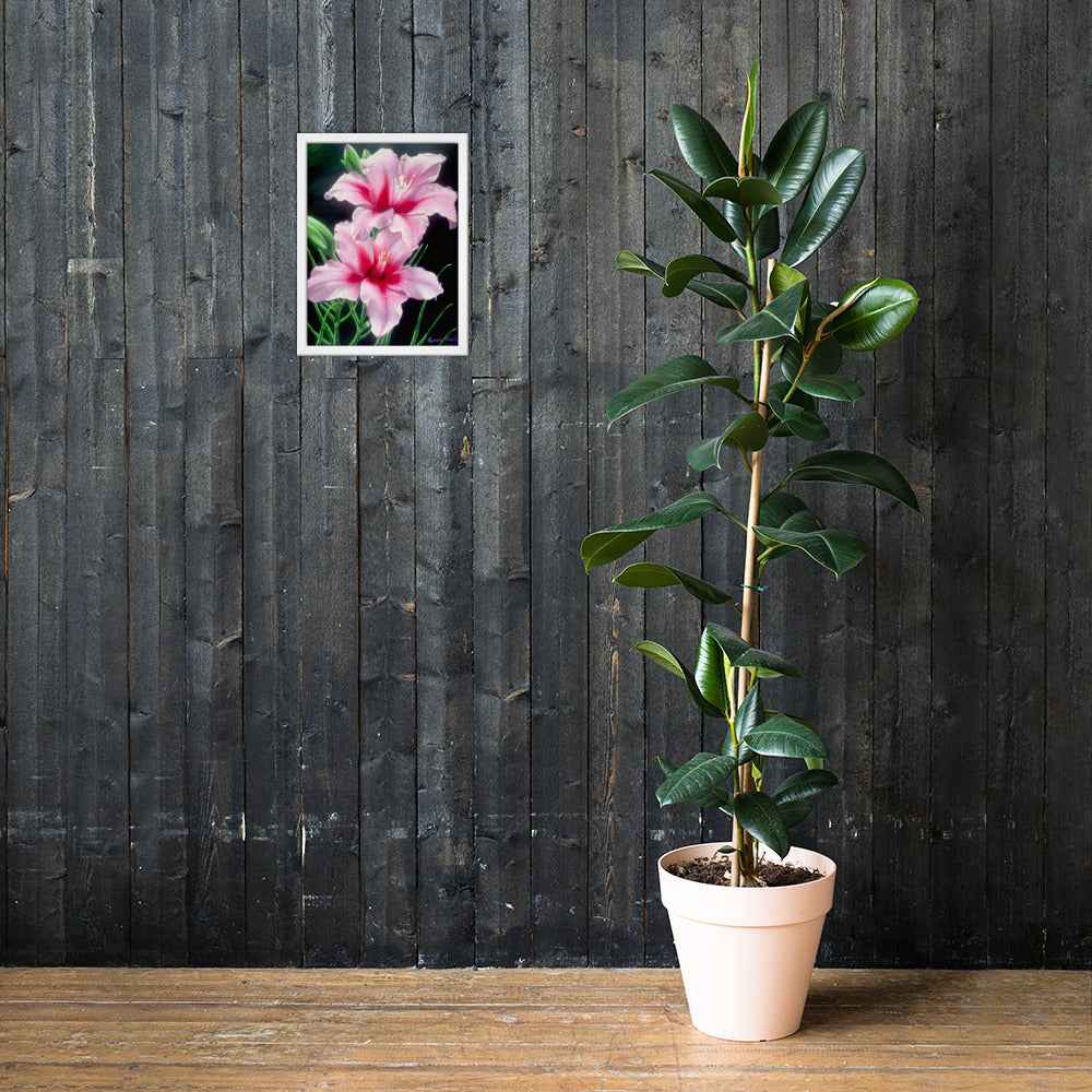 Framed Print - Desire - Pink Lily Floral Realism on Black
